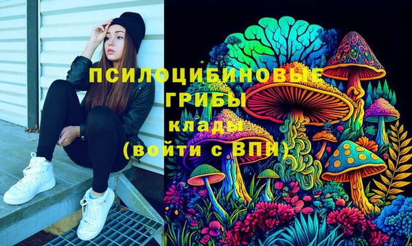 mdpv Баксан