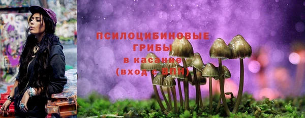 МДПВ Белоозёрский