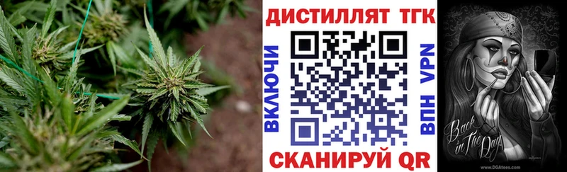 Дистиллят ТГК концентрат  Кодинск 