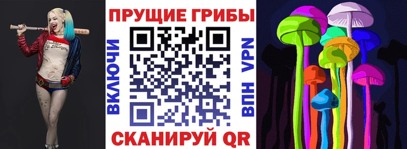 Галлюциногенные грибы Magic Shrooms  Кодинск 